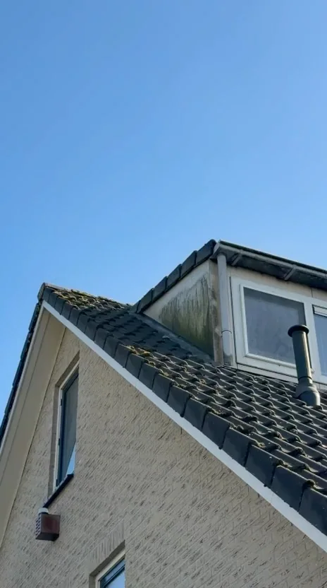 Groen vervuilde dakkapel vóór de behandeling